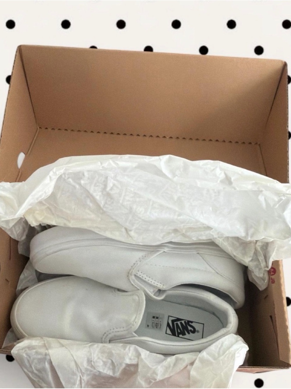 Vans White Slip-On Canvas Sneakers
